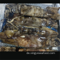 Gefrorener Tintenfisch Ganze Runde Dosidicus Gigas Squid